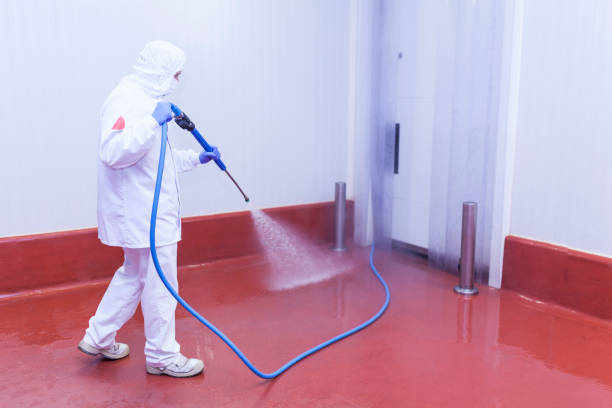 Best Factory Floor Cleaning  in Holtville, CA